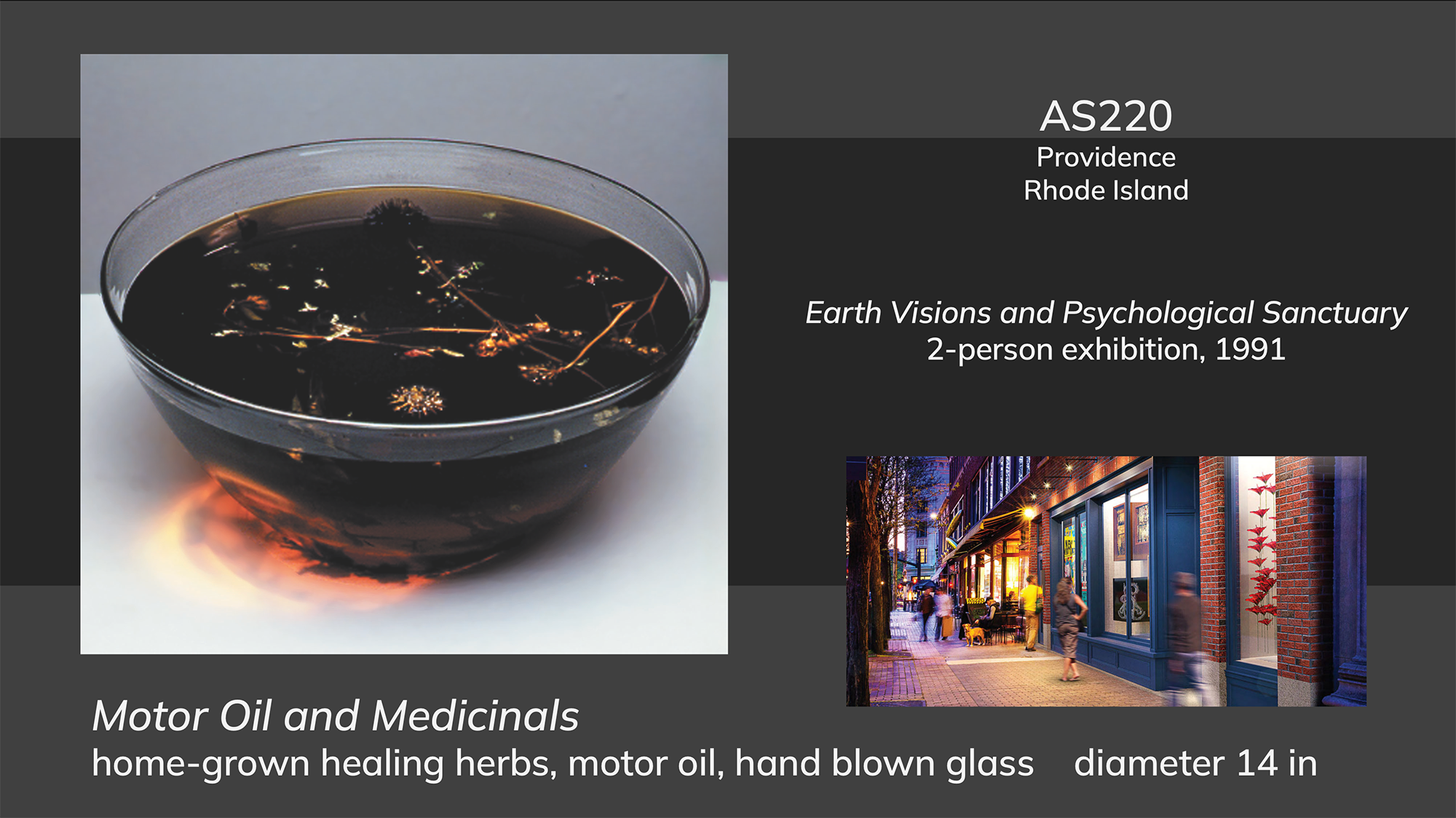 Earth Visions and Psychological Sanctuary AS220 Art Space