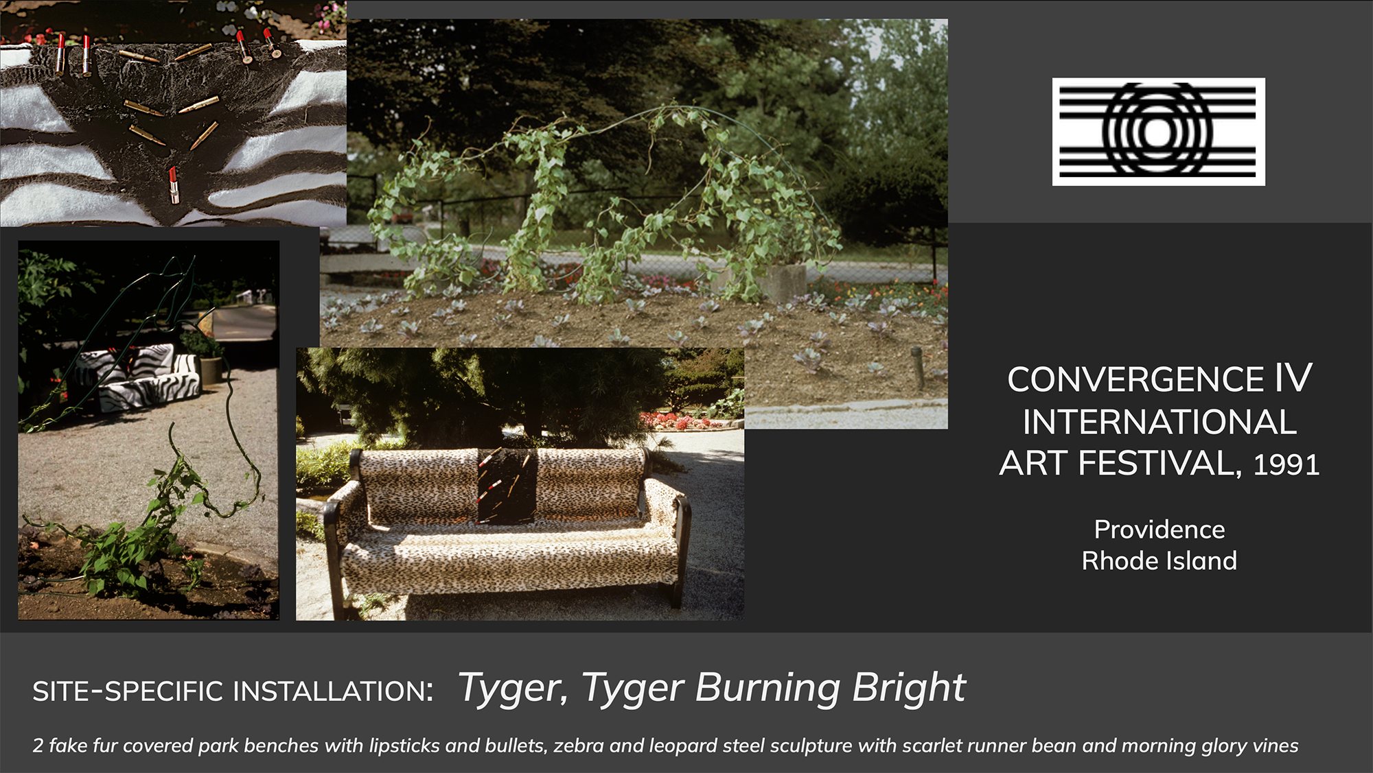 Site-specific installation: Tyger, Tyger Burning Bright Convergence IV International Contemporary Arts Festival