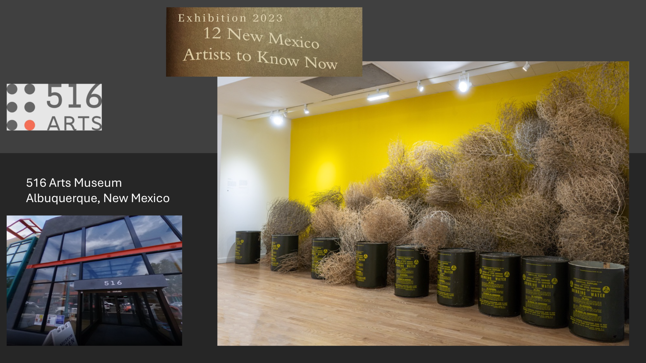 516 ARTS Presents "12 New Mexico Artists to Know Now!"