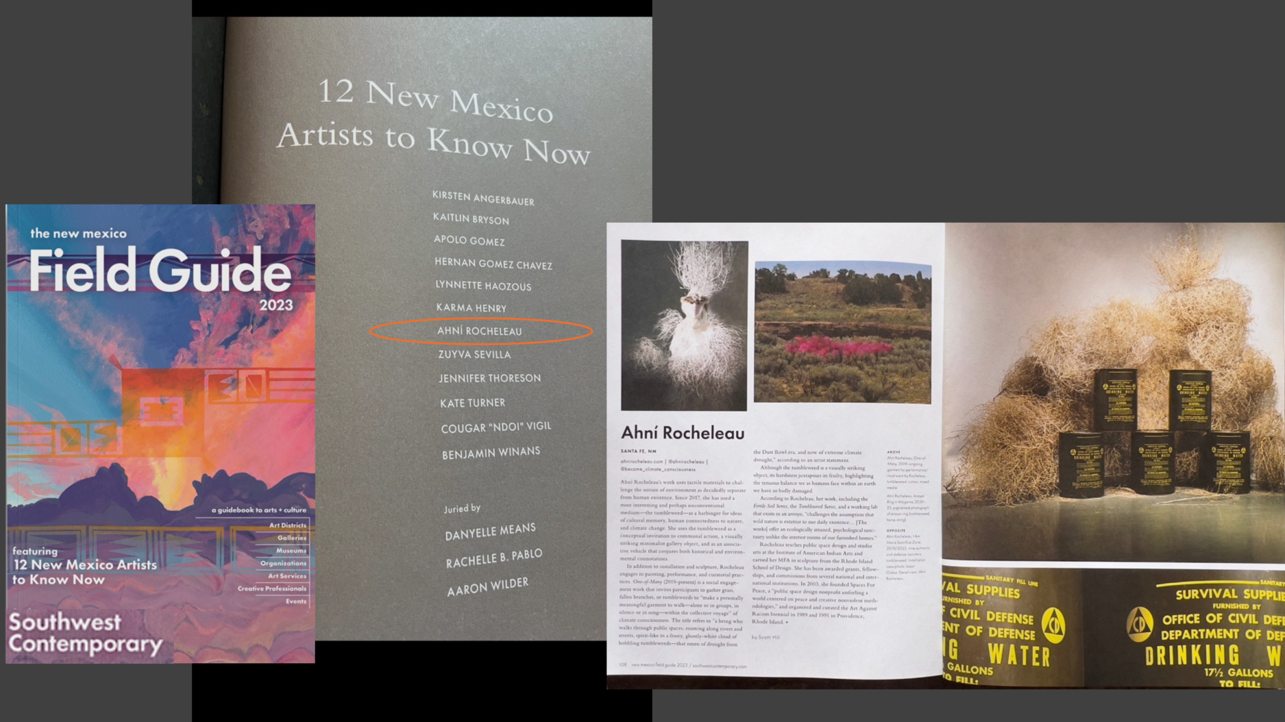 Ahní Rocheleau is selected as one of “12 New Mexico Artists to Know Now!” by SOUTHWEST CONTEMPORARY