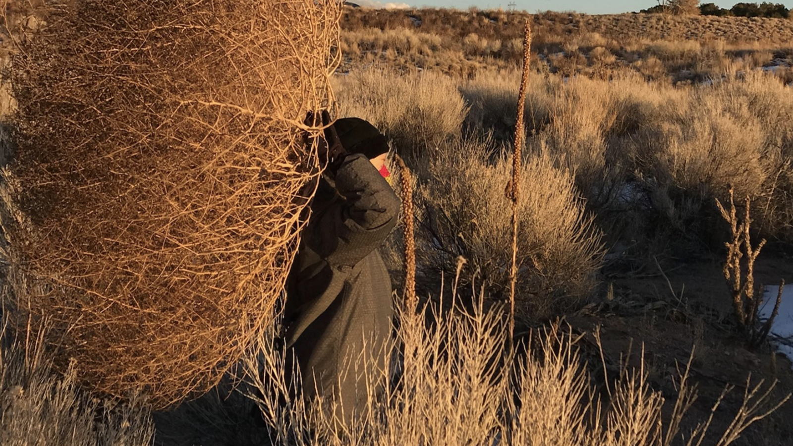 Ahní with Giant Tumbleweed