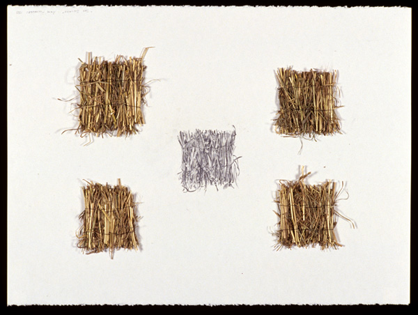 The Square

graphite, thread, Arches archival paper, hay

H. 14″ W. 49″ D. 2″

NFS
