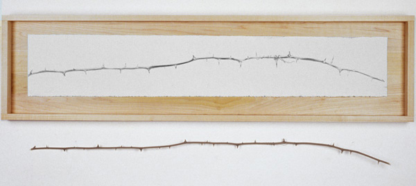 Thorn Branch

wood, Arches archival paper, graphite, branch with thorns

H. 14″ W. 49″ D. 2″

NFS