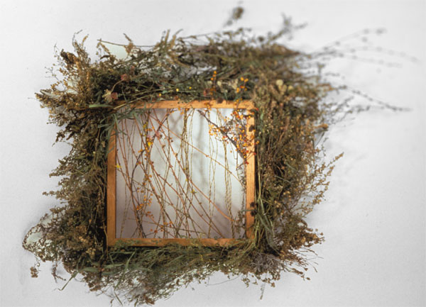 Reframing the Square
electrical wire, vines, plant material, wood

H. 30″ W. 28″ D. 8″

$2800