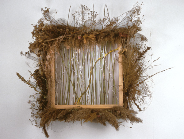 Reframing the Meddling Intellect
electrical wire, vines, plant material, wood

H. 32″ W. 30″ D. 8″

NFS