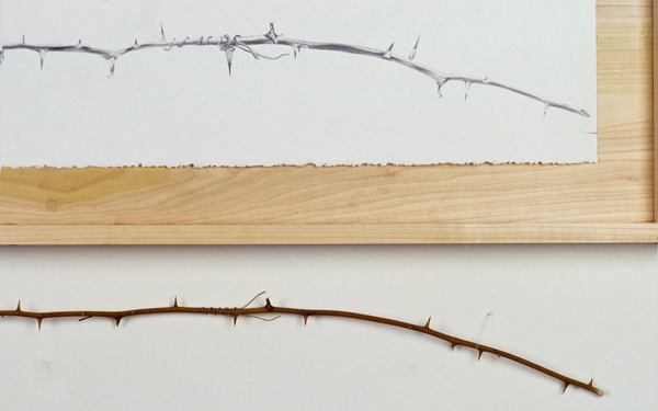 Thorn Branch, Detail