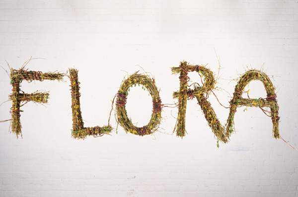 Flora

electrical wire, forsythia

H. 39″ W. 84″ D. 5″

NFS