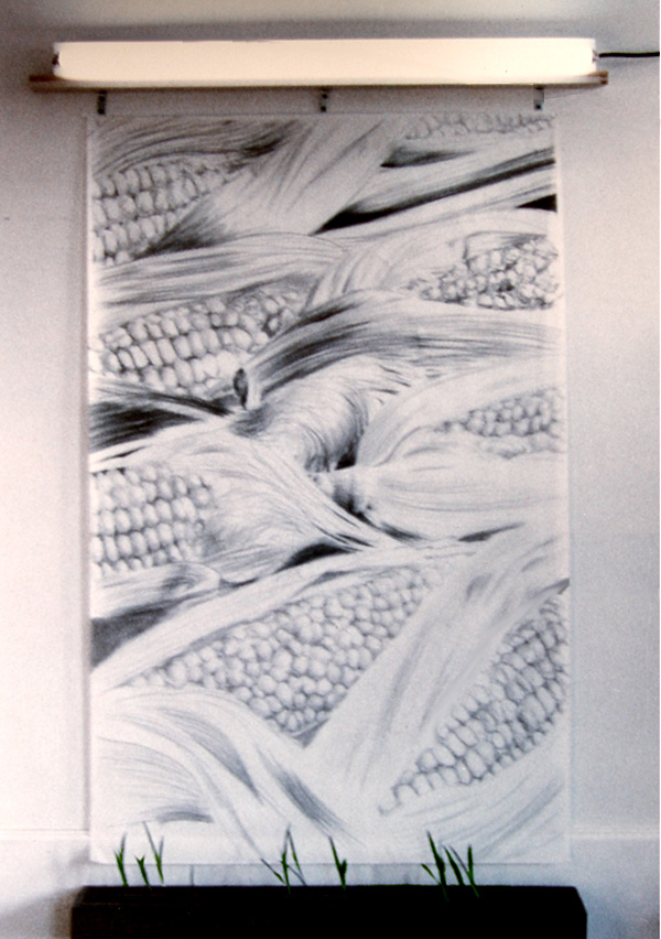 Sow Corn Seed 4 Inches Apart, Thin to 6 Inches, Harvest When Silk Are Brown and Moist

graphite, vellum, corn seed, garden box, soil, light, water

H. 84″ W. 42″ D. 8″

$6500