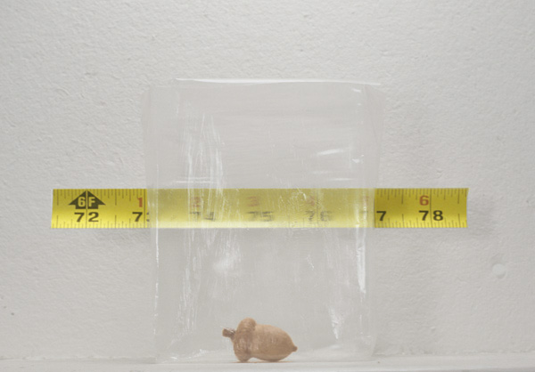 Measuring Infiinty

acorn seed, cellopahne, tape measure

H. 6″ W. 7″ D.3″

$1250