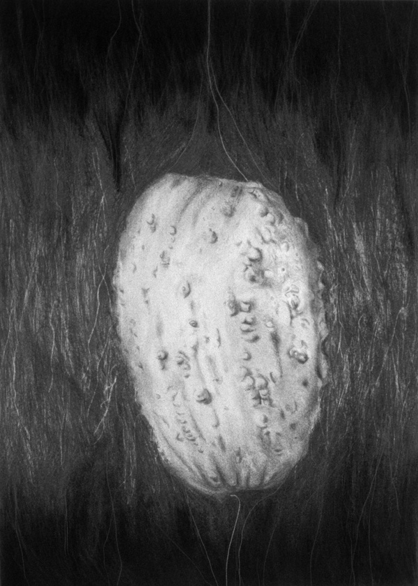Giant Gourd

Arches archival paper, graphite, charcoal

H. 30″ W. 22″

$3900 -framed