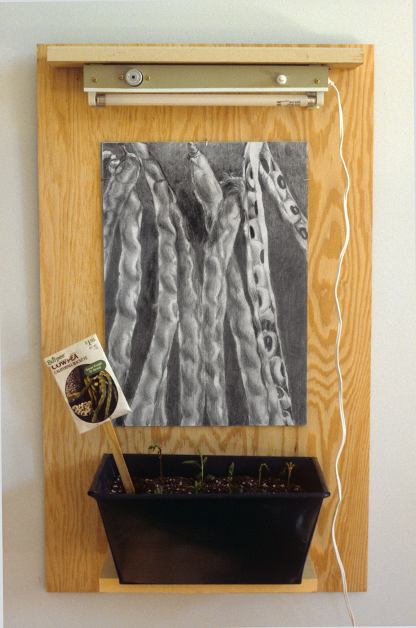 Sow Blackeye Peas

drawing on vellum, wood, grow light, seeds in soil, container

H. 21″ W. 11″ D. 3.5″