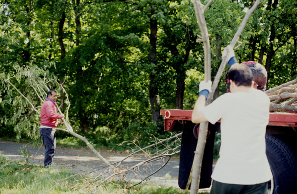 The River Within/El Rio Desde Adentro: Loading the Truck

trimmed branches from the Providence Parks Department