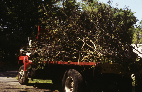 The River Within/El Rio Desde Adentro: Loaded Truck

trimmed branches from the Providence Parks Department