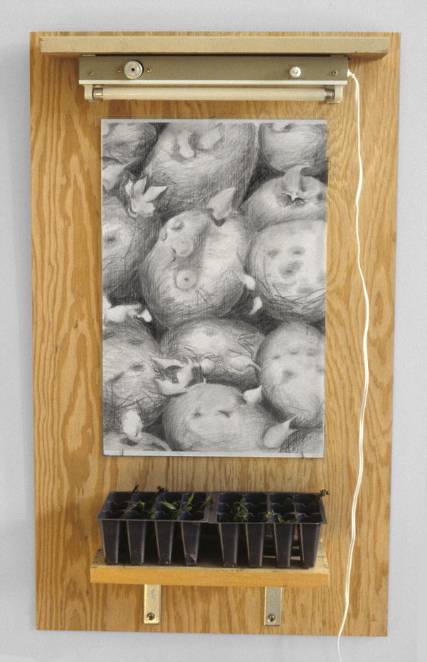 Sow Potatoes

drawing on vellum, wood, grow light, seeds in soil, container

H. 21″ W. 11″ D. 3.5″