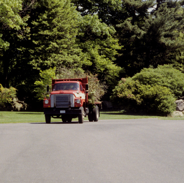 The River Within/El Rio Desde Adentro: Loaded Truck

trimmed branches from the Providence Parks Department