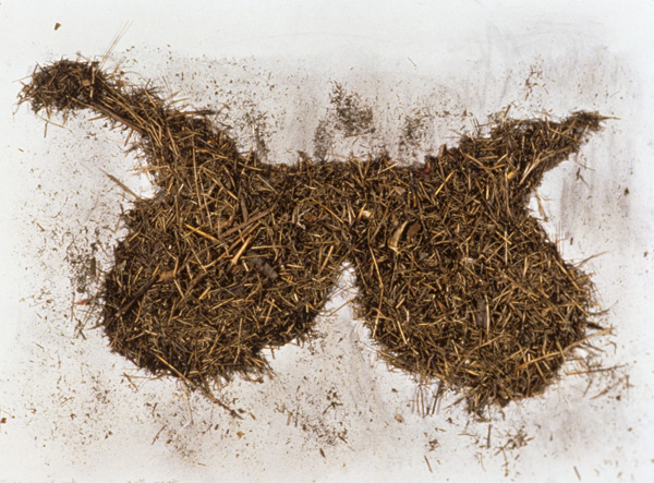 Salem Milk

Arches archival paper, burnt hay

H. 22.25″ W. 30″ D. .75″