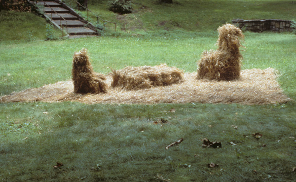The Room (Providence, Rhode Island)
carpet of interwoven garlands of Zinzania Acquatica wild rice grass draped over forms

H.  30″  W. 216″ (18′)  D. 216″ (18′)

$18,000 plus installation