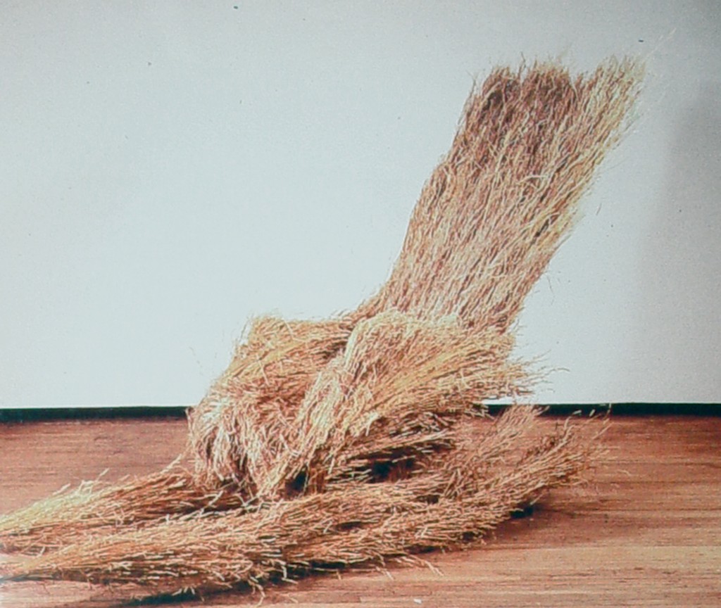  
Rocker
wild coastal grasses, wood

h. 72” L. 108” W. 30”

$9000