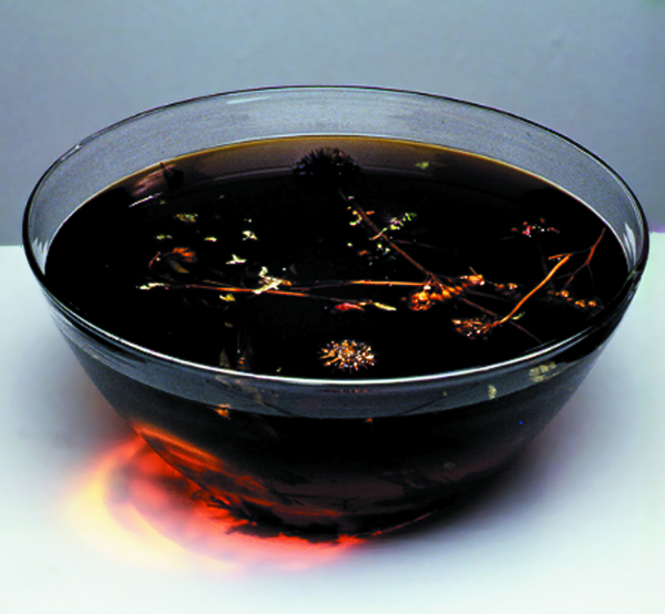 Motor Oil and Medicinals
blown glass, motor oil, home-grown healing herbs

H. 7″  diam 14″

$3900