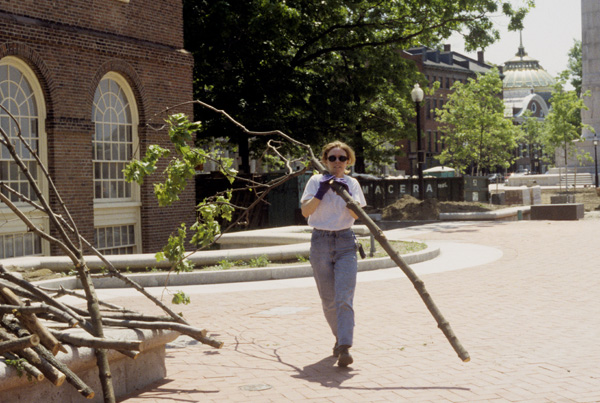 The River Within/El Rio Desde Adentro: site installation with Project Director Ahni Rocheleau

trimmed branches