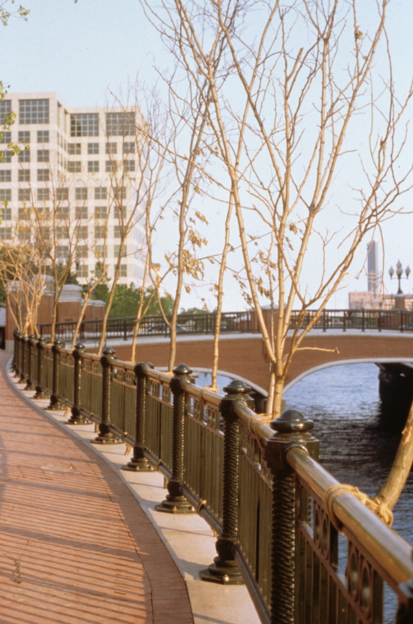 The River Within/El Rio Desde Adentro: Sentinels, east side of the Providence River

trimmed branches from the Providence Parks Department, steel wire, burlap ties

H. 228″ (19′) L. 1/4 mile