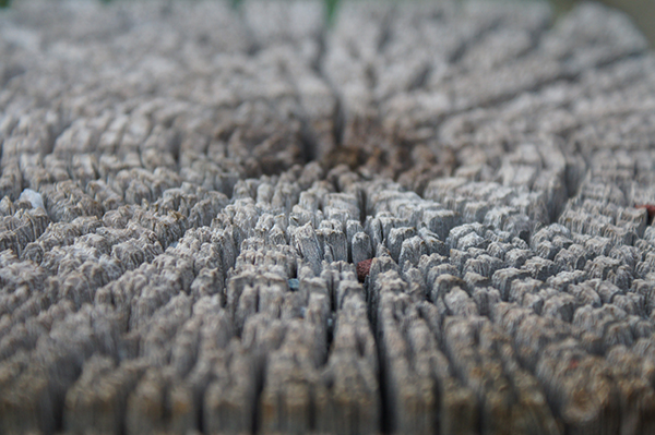Cross Cut Fence Post I