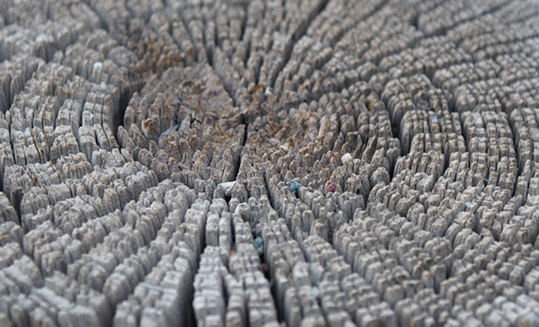 Cross Cut Fence Post II