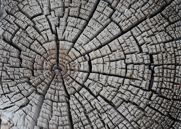 Cross Cut Fence Post III