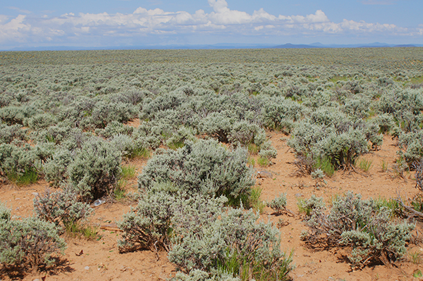 Title: Taos, New Mexico

Media: Photograph

Dimensions: On Request