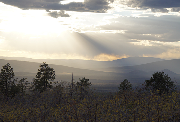 Title: Northern New Mexico

Media: Photograph

Dimensions: On Request