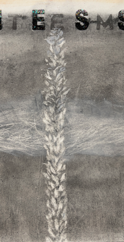 Self-Transcendence No. 1: Mullein (Ecosystem Tenderness), Detail
