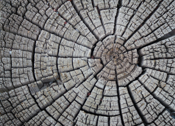Cross Cut Fence Post IV