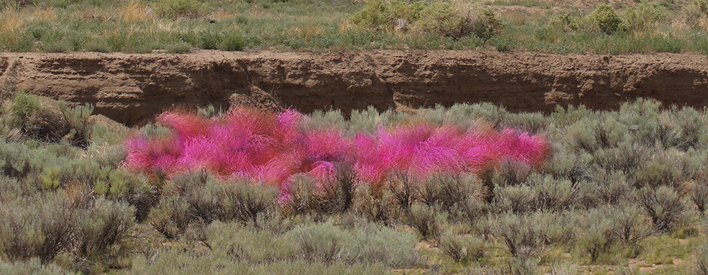 Arroyo Ring in Magenta_Rocheleau