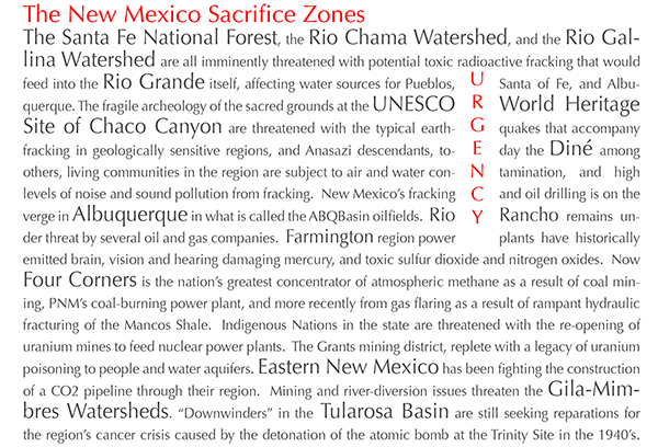 I Am Not A Sacrifice Zone, detail