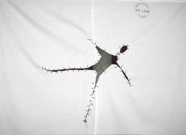 Eye and Ear
cotton

standard-size hospital pillow case

$1900 – unframed