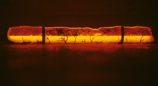 Primordial/Underived I,

without ambient light, cast glass, liquids, neon, lead