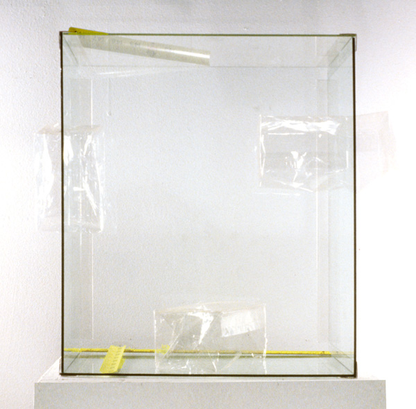 Measuring the Invisible II

glass,cellopahne, tape measure

H. 14″  W. 12″  D. 8″
