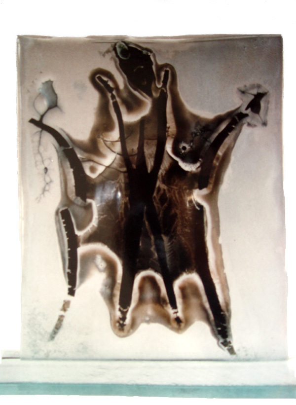 Rapid Rupture

fused glass, cast glass base

H. 10″ W. 7.5″ D. 2.25″