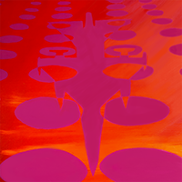 Camouflage Series