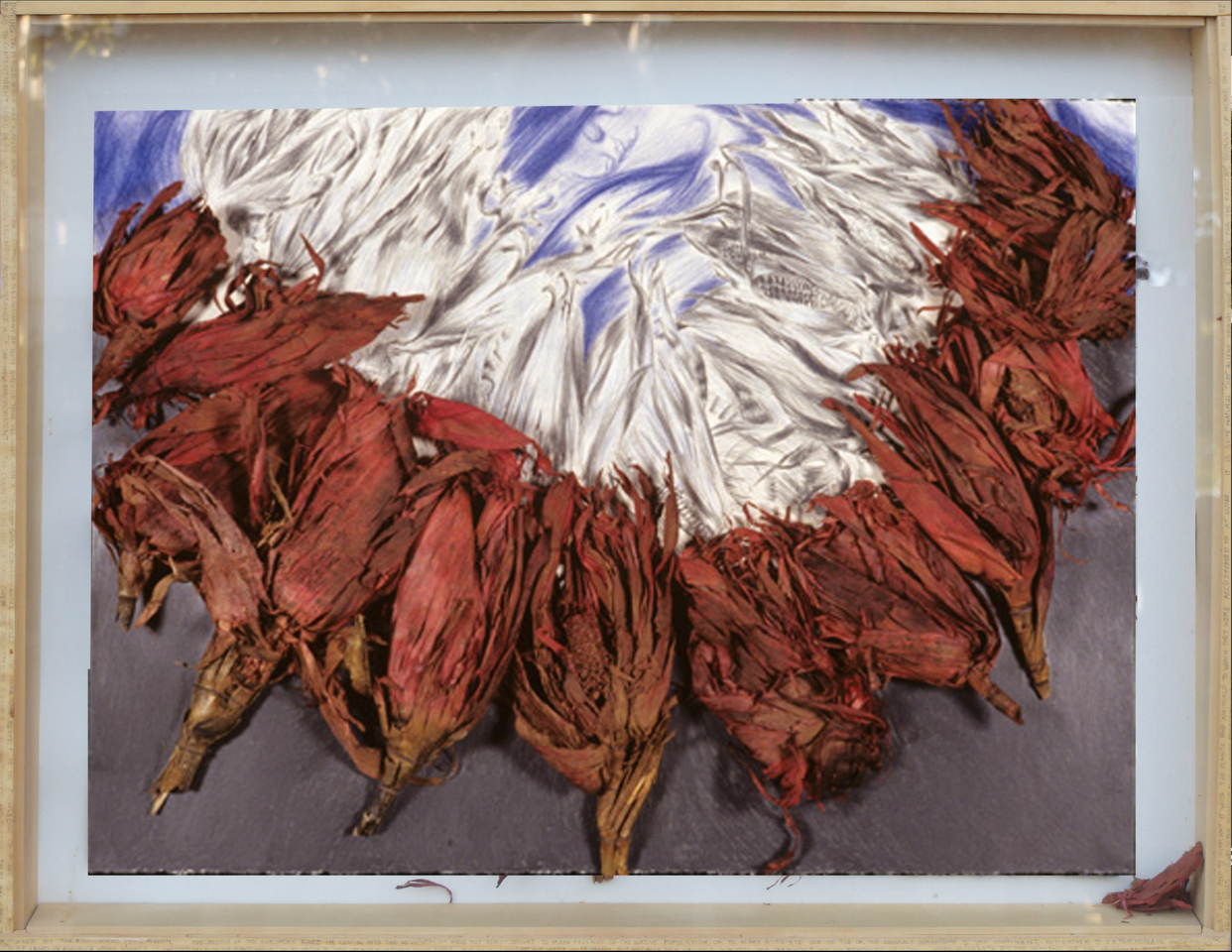 Homage to Native Corn

graphite, colored pencil, red-dyed corn, thread

H. 23″ W. 30″ D. 2.5″

$4500 – framed